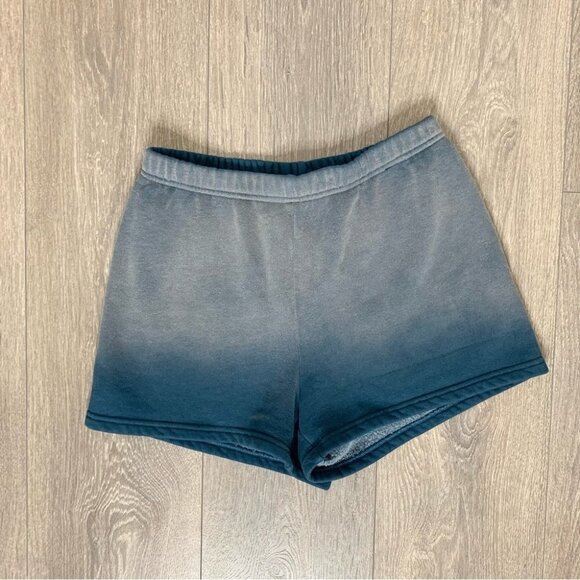 Aritzia TNA Cozy Fleece Perfect High Rise 3” Sweat Shorts Ombre Navy Grey XS - Picture 3 of 15